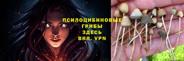 синтетический гашиш Армянск