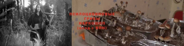 мяу мяу мука Арсеньев