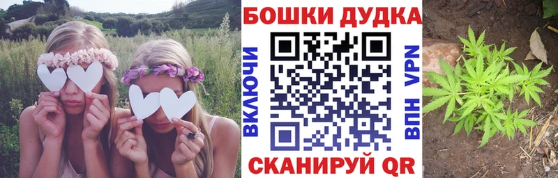 Конопля OG Kush Ухта